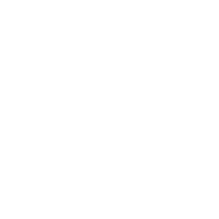 Logo FT guitars blanc